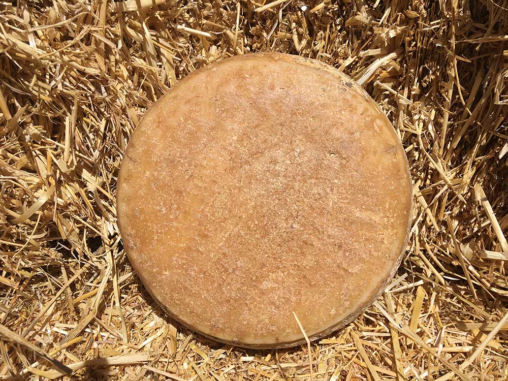 Formagella nostrana